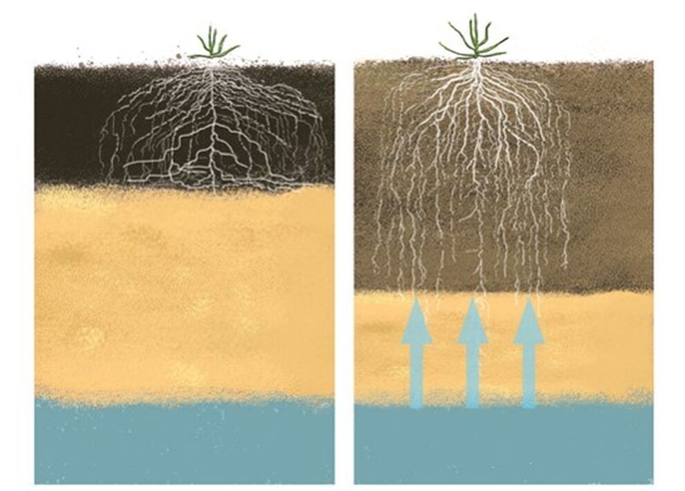 Klimaatkeren ill
