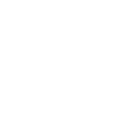 Iconen ELON 5